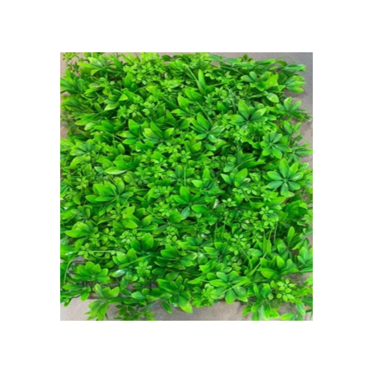 Fortune Leaf Blend